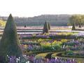 Flower Garden at Versailles