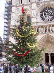 Notre Dame at Christmas Time