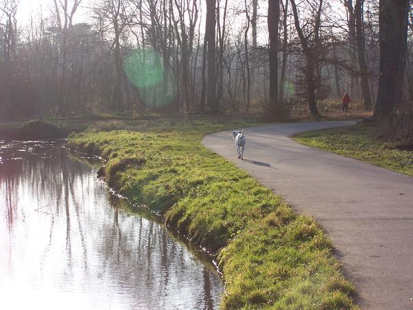 A Stream in the Bois de Boulogne