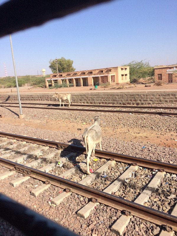 Train - Delhi to Jaisalmer