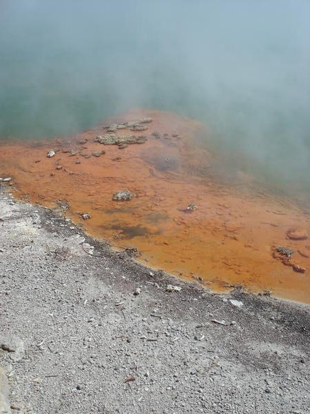 The strange colours of the Champagne Pool at Waiotapu
