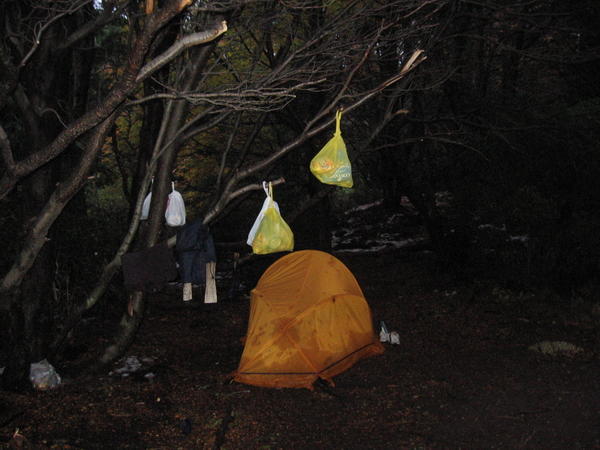 Day three - Camp Italiano and our mouse prevention tactics look like a scene from The Blair Witch Project!