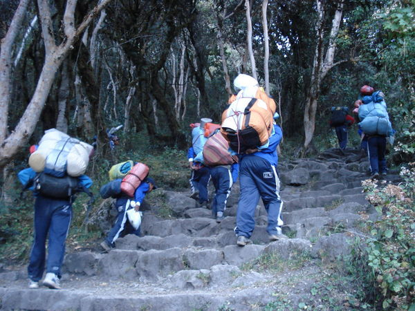 Day Two - Our super human porters power up the stairs at the start of the 4 hour uphill slog