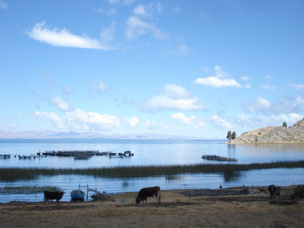 A view out to Lake Titicaca on our 17km trek from Copacabana to Yampupata