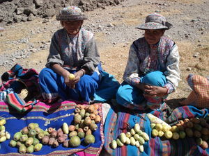 Fruit sellers on the back back to Chivay from Colca
