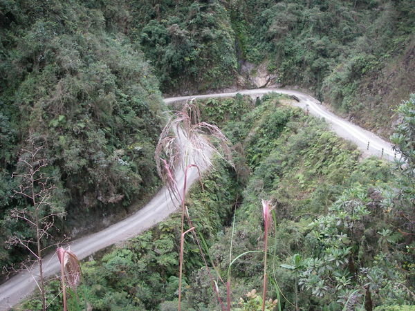 The Worlds Most Dangerous Road snakes away below us