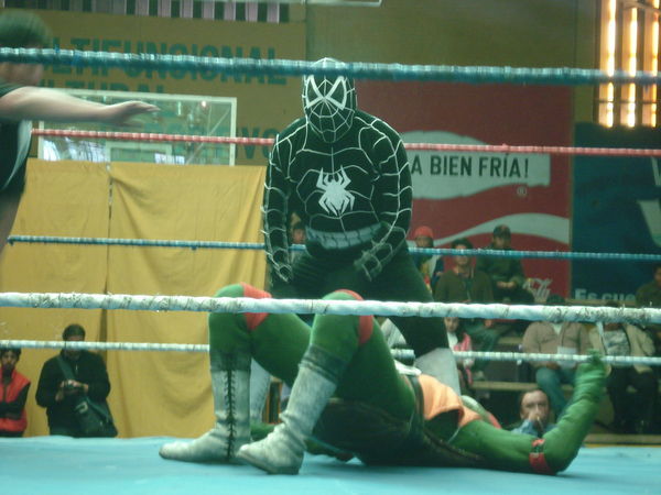 Spiderman body slams the Mutant Ninja Turtle at the wrestling