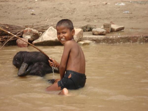 Boy riding a buffalo in the Ganges