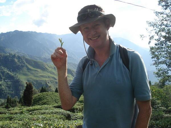 Me and a tea leaf at the Happy Valley Tea Plantation