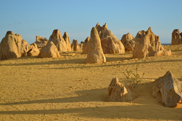 The Pinnacles Desert