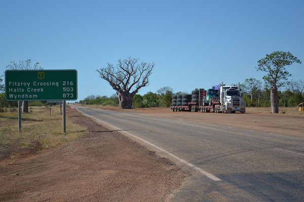 On the way to Fitzroy Crossing 