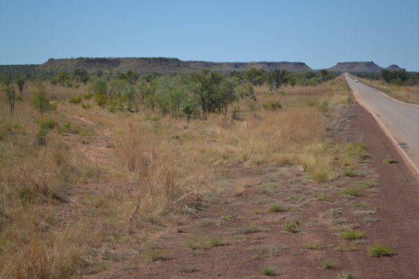 On the road to Fitzroy Crossing 