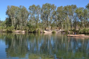 Manning River 