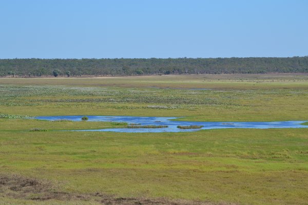 Kakadu Wetlands 