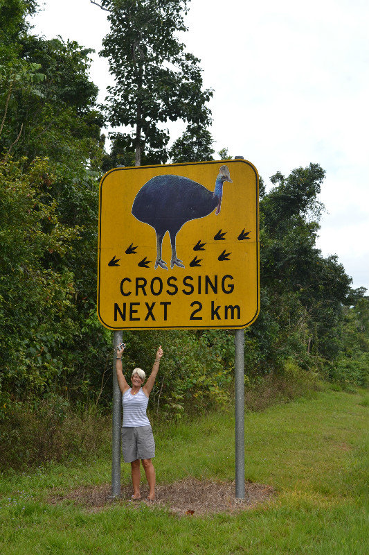 Cassowaries crossing sign.