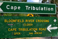 Cape Tribulation 