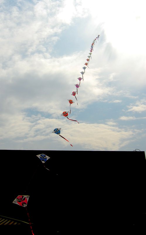 Kites:)