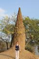 HUGEEEE termite mound