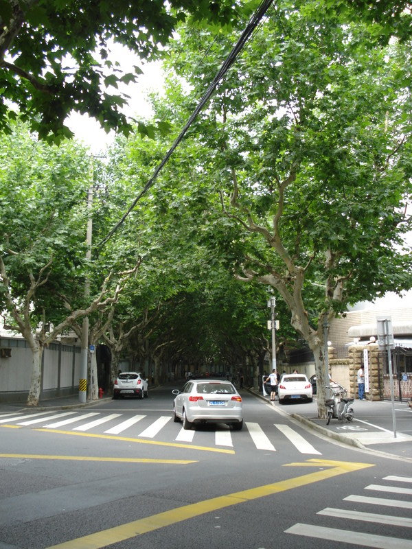 Street in French Concession