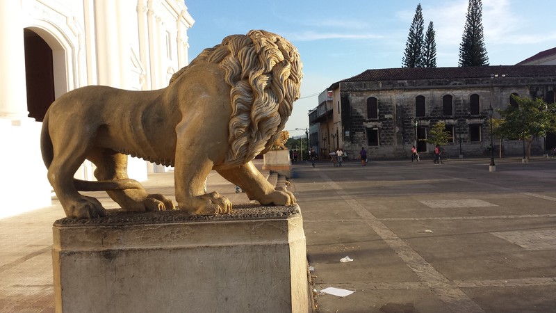 Lions, Catedral de Leon