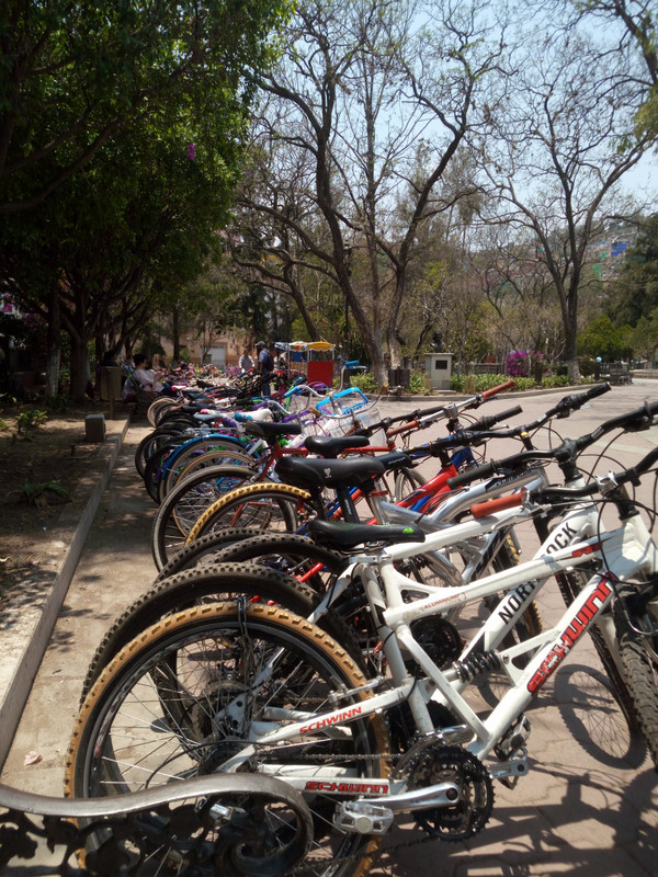 Bikes.  Parque Porfirio Diaz