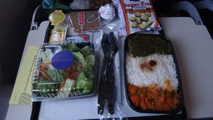 Vegetarian Airplane Meal