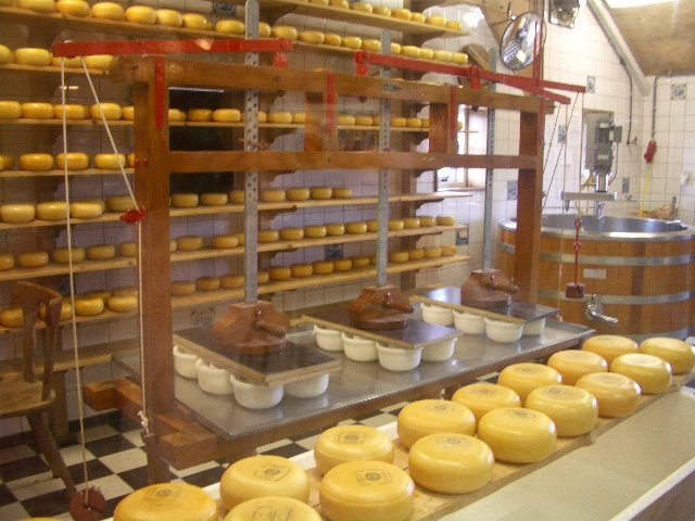 Cheese factory in Zaanse Schan