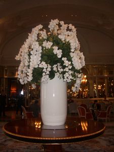 White phalaenopsis orchid vase arrangement in Hotel de Paris, Monte Carlo