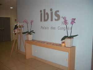 Ibis Nice Palais des Congres hotel, France