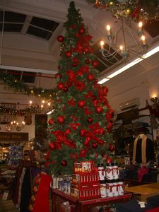 Christmas tree at Romanes and Paterson gift shop
