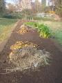 the straw/leaf mixture we mulch with 
