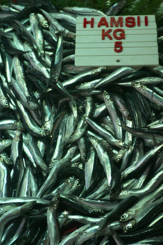 Anchovies, $2.5/kg