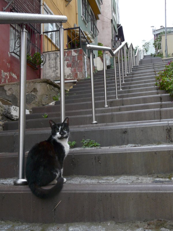 Unending Stairway