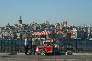 Looking at the Golden Horn