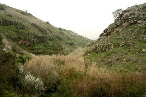 Gilabun River Valley