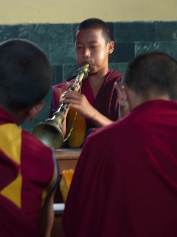 Tibetan Cornets