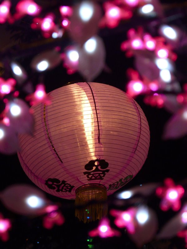 Diwali Lantern