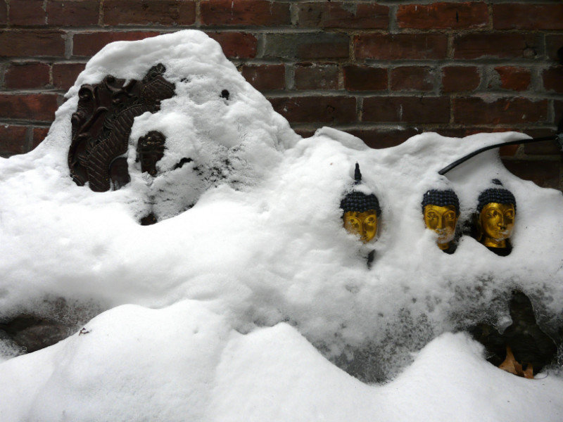 Buddhas in the Snow