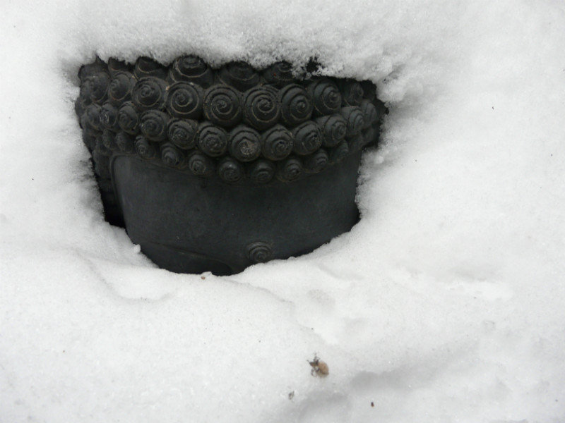Snow-Covered Buddha
