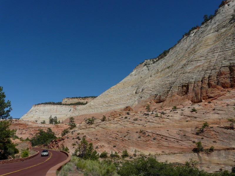 The Road Out of Zion