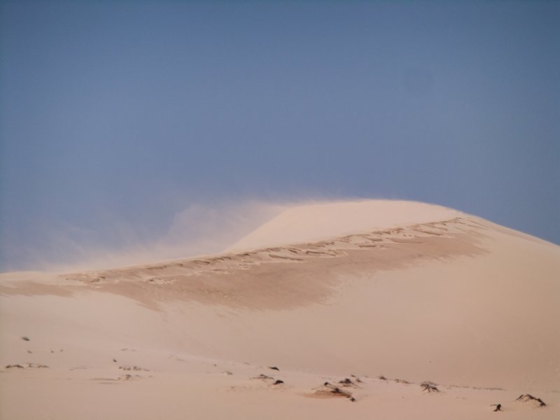 White Dunes, Windy