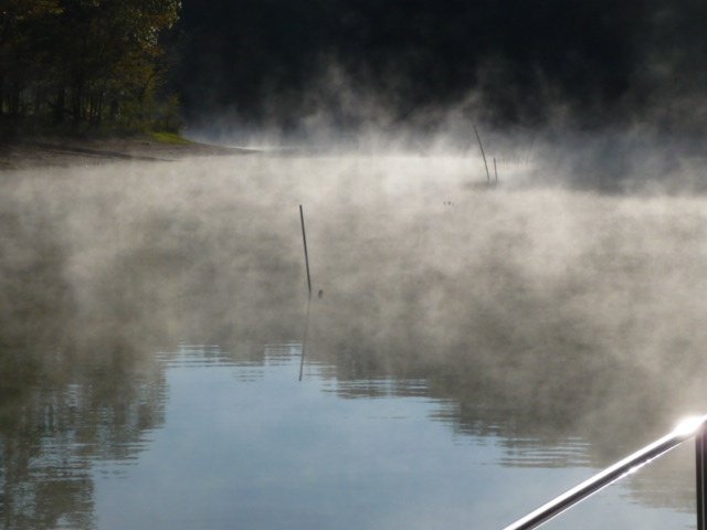 Fog in Marsh Creek