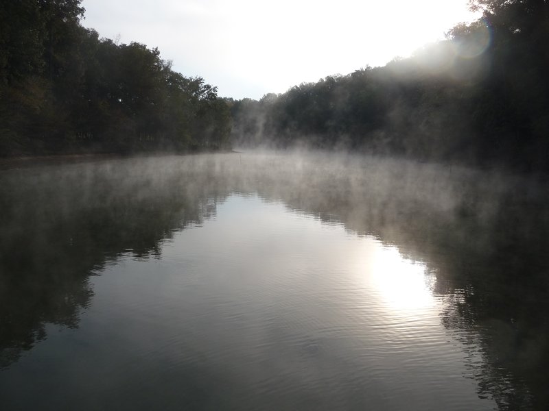 Fog Lifts from Marsh Creek