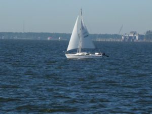 Sailor on Mobile Bay