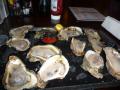 Best Oysters Ever