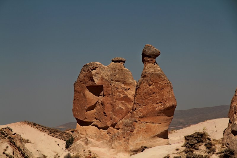 Camel shaped rock