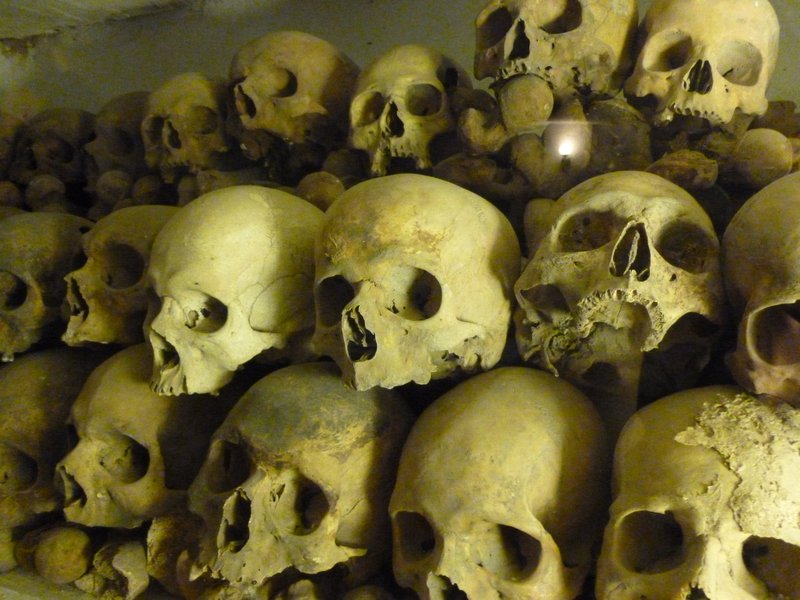 Skulls in the crypt
