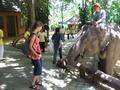 Joanna Feeding an Elephant