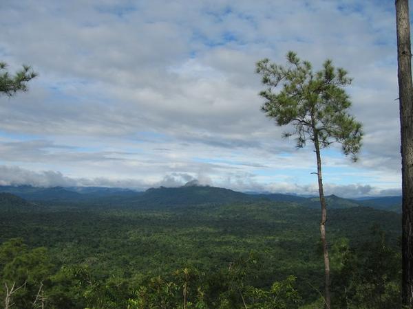 From my great hikes in the jungle