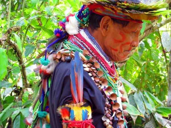 many colors of the Shaman